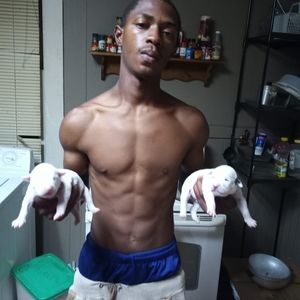 Meet your Posher, Hood